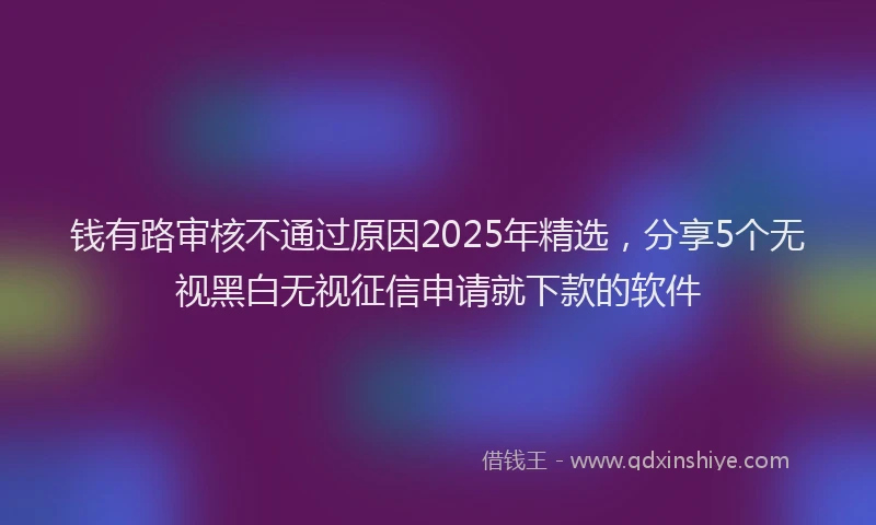 钱有路审核不通过原因2025年精选，分享5个无视黑白无视征信申请就下款的软件