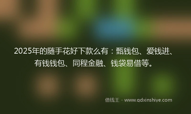 2025年的随手花好下款么有：甄钱包、爱钱进、有钱钱包、同程金融、钱袋易借等。