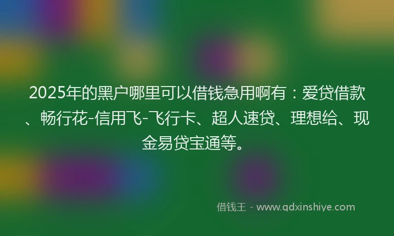 2025年的黑户哪里可以借钱急用啊有：爱贷借款、畅行花-信用飞-飞行卡、超人速贷、理想给、现金易贷宝通等。
