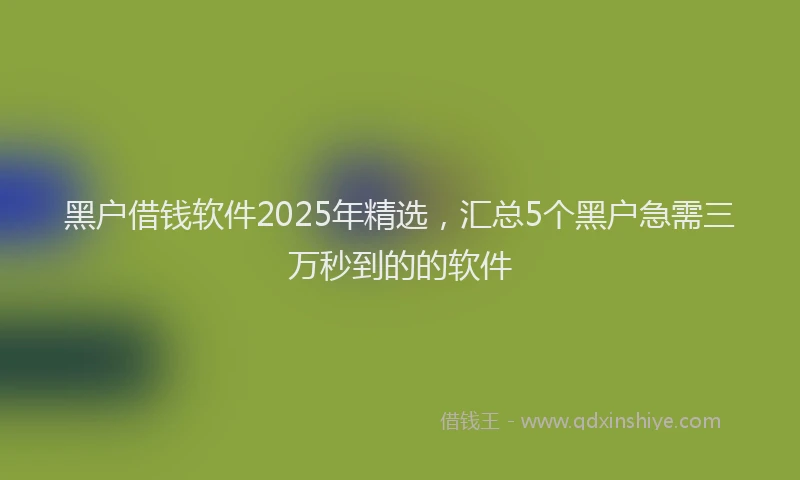 黑户借钱软件2025年精选，汇总5个黑户急需三万秒到的的软件