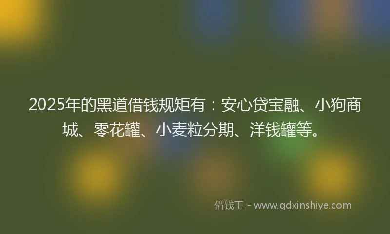 2025年的黑道借钱规矩有：安心贷宝融、小狗商城、零花罐、小麦粒分期、洋钱罐等。
