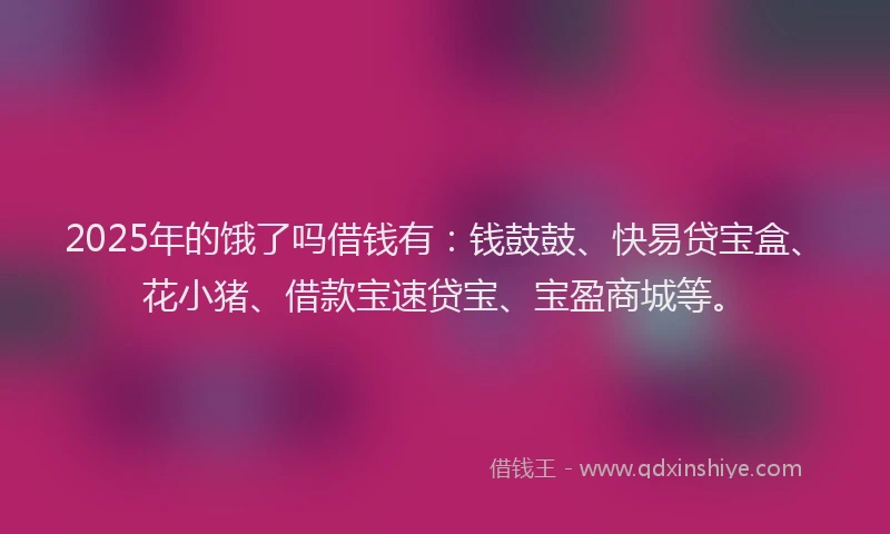 2025年的饿了吗借钱有：钱鼓鼓、快易贷宝盒、花小猪、借款宝速贷宝、宝盈商城等。