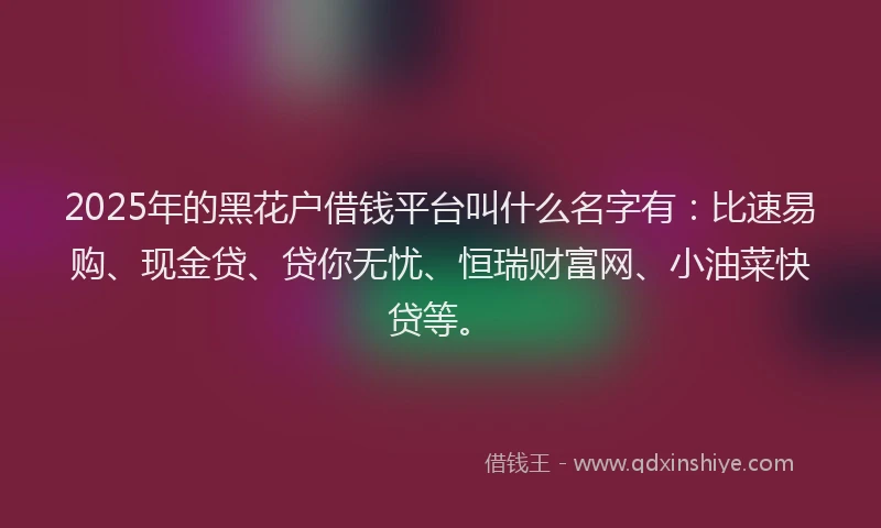 2025年的黑花户借钱平台叫什么名字有：比速易购、现金贷、贷你无忧、恒瑞财富网、小油菜快贷等。