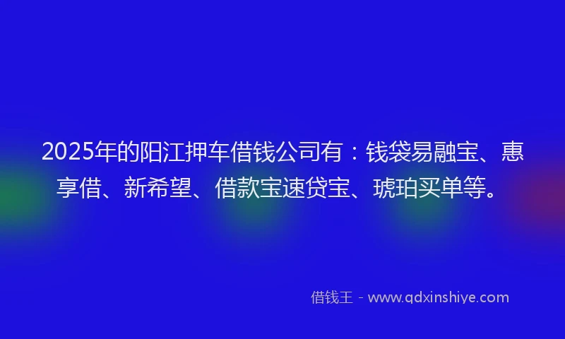 2025年的阳江押车借钱公司有：钱袋易融宝、惠享借、新希望、借款宝速贷宝、琥珀买单等。