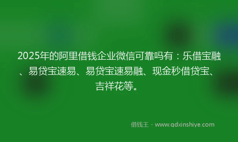 2025年的阿里借钱企业微信可靠吗有：乐借宝融、易贷宝速易、易贷宝速易融、现金秒借贷宝、吉祥花等。