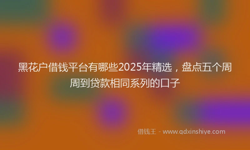 黑花户借钱平台有哪些2025年精选，盘点五个周周到贷款相同系列的口子