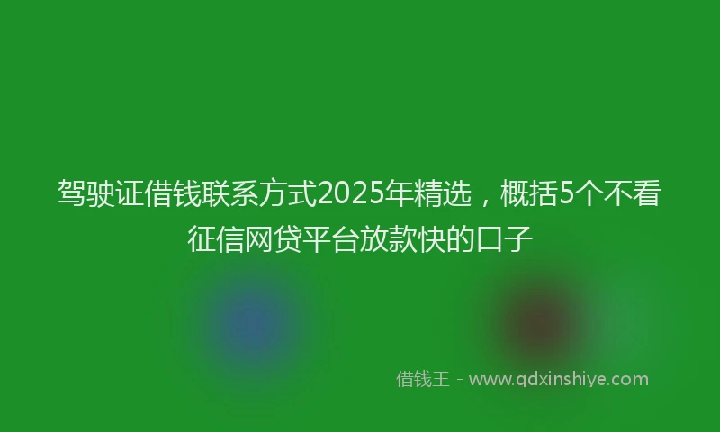 驾驶证借钱联系方式2025年精选，概括5个不看征信网贷平台放款快的口子