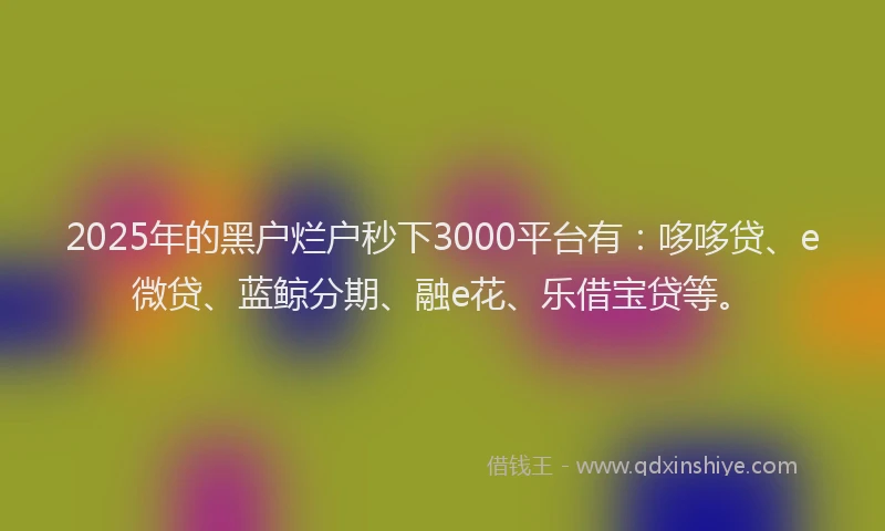 2025年的黑户烂户秒下3000平台有：哆哆贷、e微贷、蓝鲸分期、融e花、乐借宝贷等。