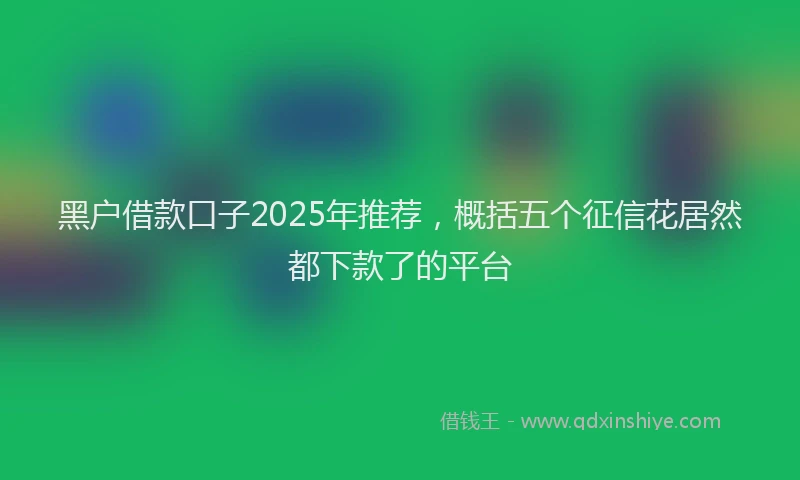 黑户借款口子2025年推荐，概括五个征信花居然都下款了的平台