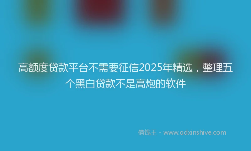高额度贷款平台不需要征信2025年精选，整理五个黑白贷款不是高炮的软件