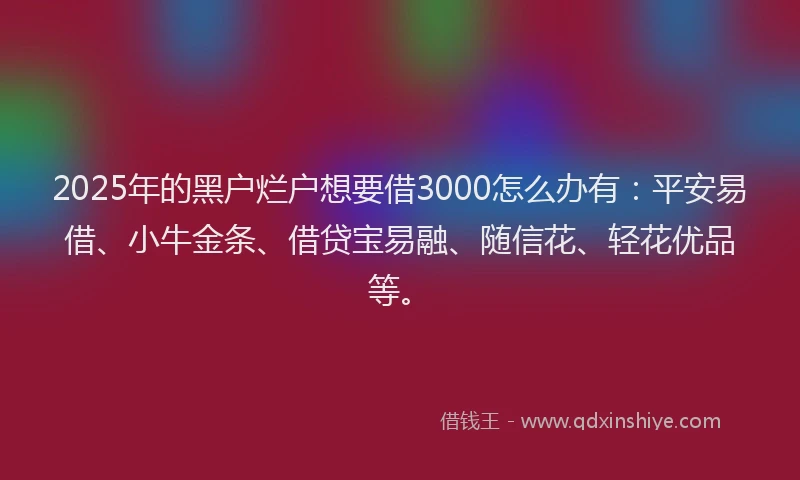 2025年的黑户烂户想要借3000怎么办有：平安易借、小牛金条、借贷宝易融、随信花、轻花优品等。