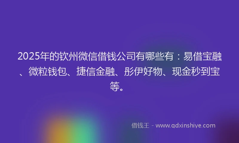 2025年的钦州微信借钱公司有哪些有：易借宝融、微粒钱包、捷信金融、彤伊好物、现金秒到宝等。