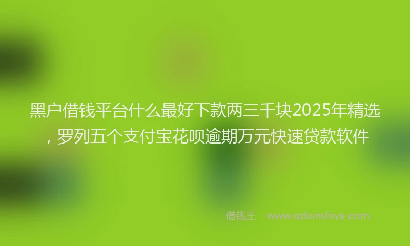 黑户借钱平台什么最好下款两三千块2025年精选，罗列五个支付宝花呗逾期万元快速贷款软件