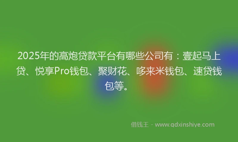 2025年的高炮贷款平台有哪些公司有：壹起马上贷、悦享Pro钱包、聚财花、哆来米钱包、速贷钱包等。