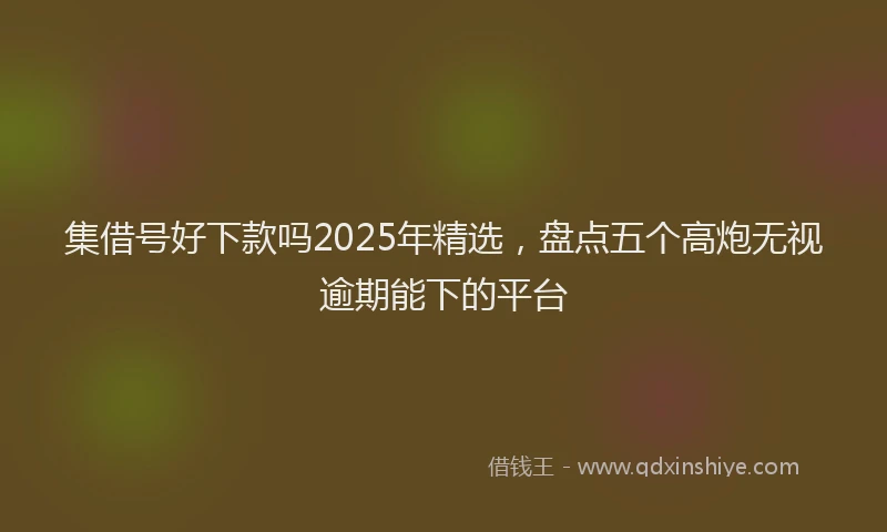集借号好下款吗2025年精选，盘点五个高炮无视逾期能下的平台