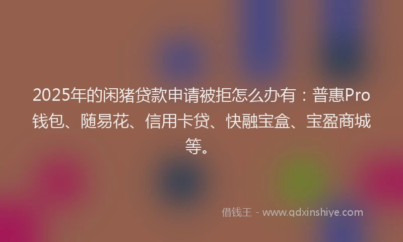 2025年的闲猪贷款申请被拒怎么办有：普惠Pro钱包、随易花、信用卡贷、快融宝盒、宝盈商城等。