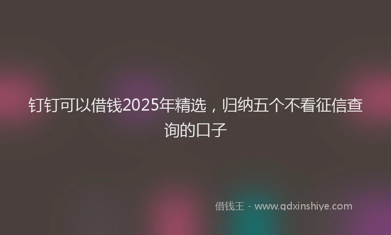 钉钉可以借钱2025年精选，归纳五个不看征信查询的口子