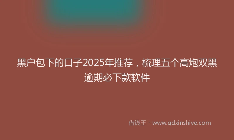 黑户包下的口子2025年推荐，梳理五个高炮双黑逾期必下款软件