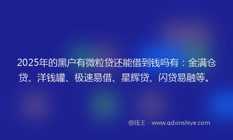 2025年的黑户有微粒贷还能借到钱吗有：金满仓贷、洋钱罐、极速易借、星辉贷、闪贷易融等。