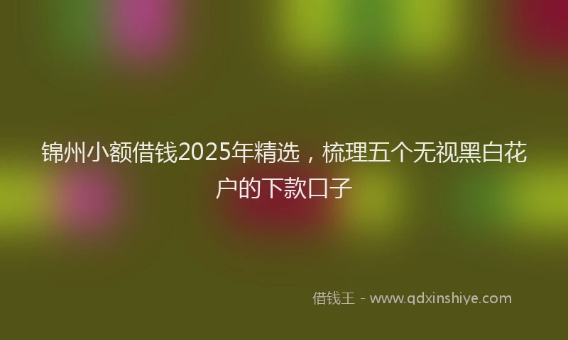 锦州小额借钱2025年精选，梳理五个无视黑白花户的下款口子