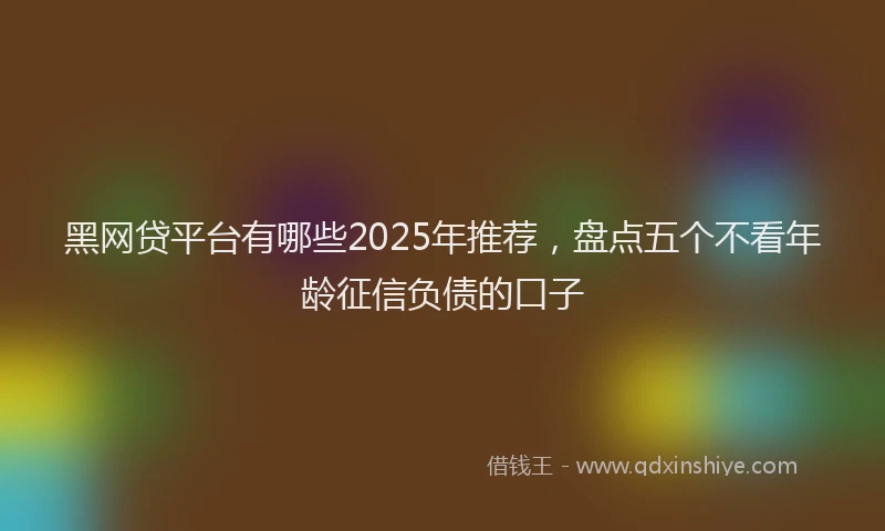 黑网贷平台有哪些2025年推荐，盘点五个不看年龄征信负债的口子