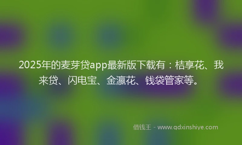 2025年的麦芽贷app最新版下载有：桔享花、我来贷、闪电宝、金瀛花、钱袋管家等。