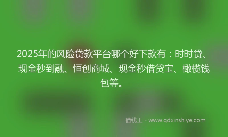 2025年的风险贷款平台哪个好下款有：时时贷、现金秒到融、恒创商城、现金秒借贷宝、橄榄钱包等。