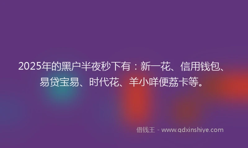 2025年的黑户半夜秒下有：新一花、信用钱包、易贷宝易、时代花、羊小咩便荔卡等。