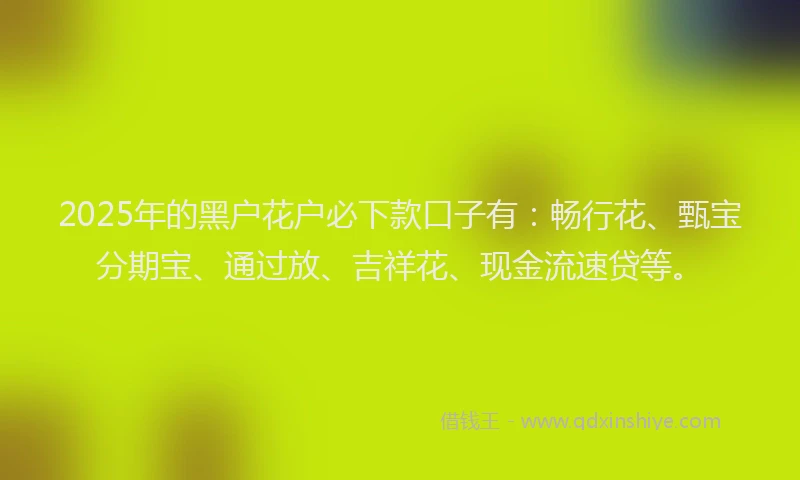 2025年的黑户花户必下款口子有：畅行花、甄宝分期宝、通过放、吉祥花、现金流速贷等。