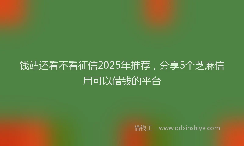 钱站还看不看征信2025年推荐，分享5个芝麻信用可以借钱的平台