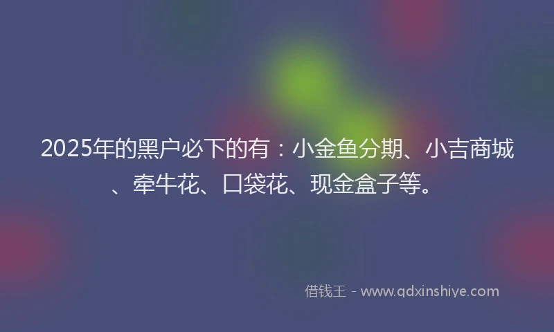 2025年的黑户必下的有：小金鱼分期、小吉商城、牵牛花、口袋花、现金盒子等。
