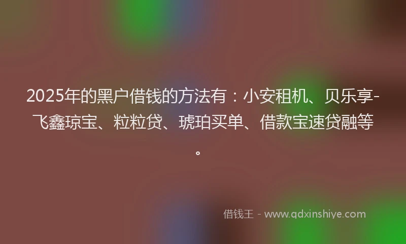 2025年的黑户借钱的方法有：小安租机、贝乐享-飞鑫琼宝、粒粒贷、琥珀买单、借款宝速贷融等。