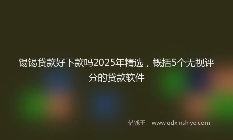锡锡贷款好下款吗2025年精选，概括5个无视评分的贷款软件