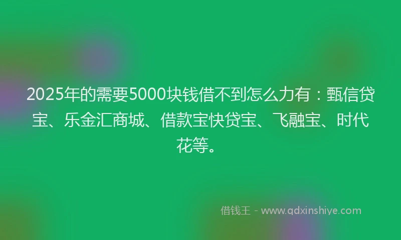 2025年的需要5000块钱借不到怎么力有：甄信贷宝、乐金汇商城、借款宝快贷宝、飞融宝、时代花等。