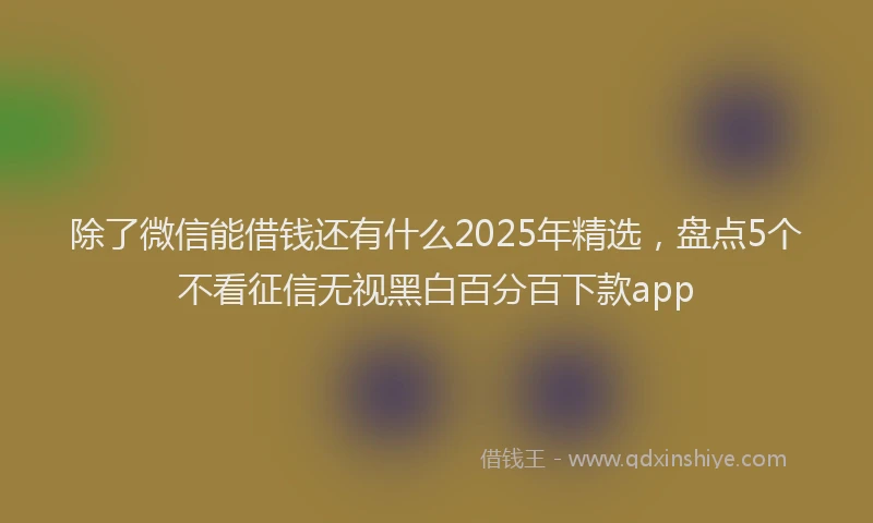 除了微信能借钱还有什么2025年精选，盘点5个不看征信无视黑白百分百下款app