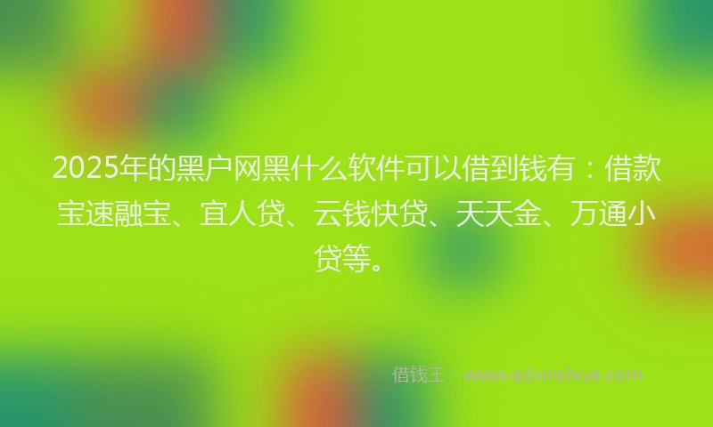 2025年的黑户网黑什么软件可以借到钱有：借款宝速融宝、宜人贷、云钱快贷、天天金、万通小贷等。