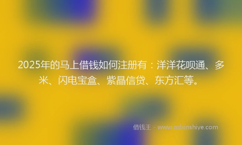 2025年的马上借钱如何注册有：洋洋花呗通、多米、闪电宝盒、紫晶信贷、东方汇等。