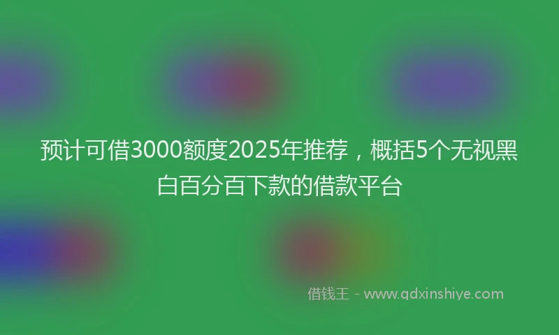 预计可借3000额度2025年推荐，概括5个无视黑白百分百下款的借款平台