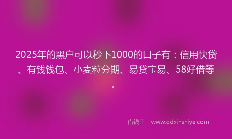 2025年的黑户可以秒下1000的口子有：信用快贷、有钱钱包、小麦粒分期、易贷宝易、58好借等。
