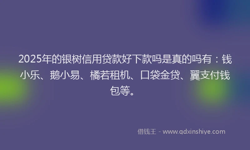 2025年的银树信用贷款好下款吗是真的吗有：钱小乐、鹅小易、橘若租机、口袋金贷、翼支付钱包等。