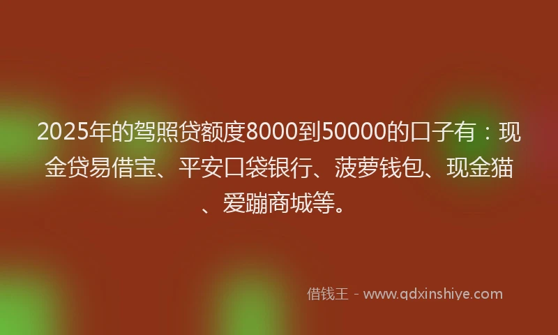 2025年的驾照贷额度8000到50000的口子有：现金贷易借宝、平安口袋银行、菠萝钱包、现金猫、爱蹦商城等。