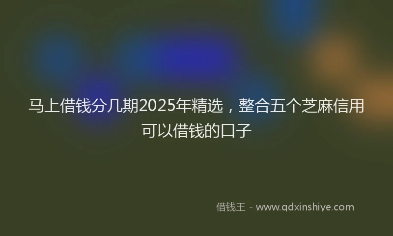 马上借钱分几期2025年精选，整合五个芝麻信用可以借钱的口子