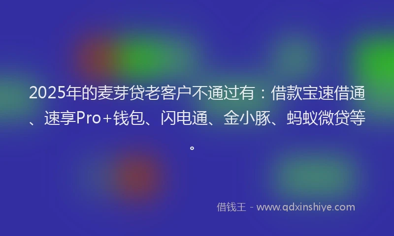2025年的麦芽贷老客户不通过有：借款宝速借通、速享Pro+钱包、闪电通、金小豚、蚂蚁微贷等。