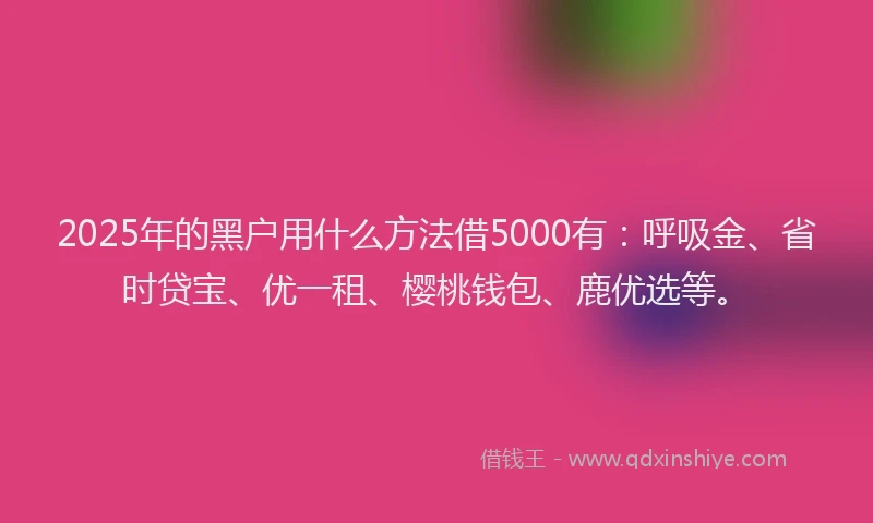 2025年的黑户用什么方法借5000有：呼吸金、省时贷宝、优一租、樱桃钱包、鹿优选等。