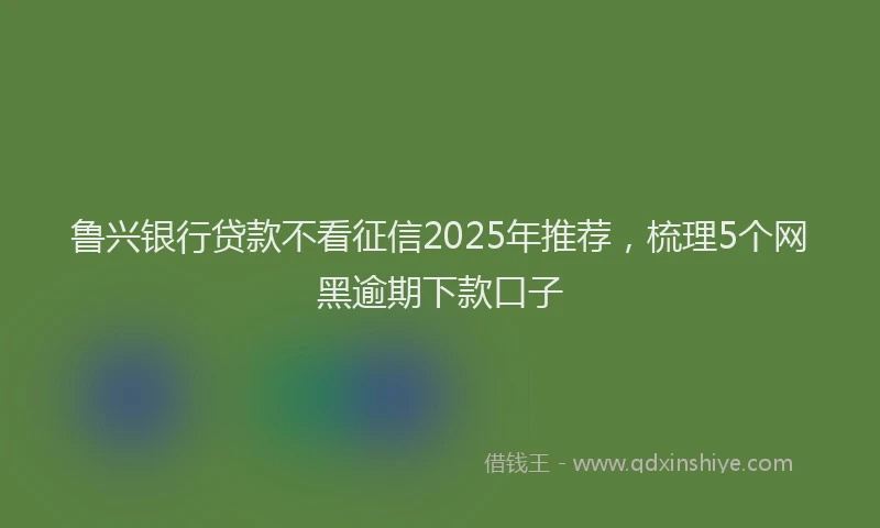 鲁兴银行贷款不看征信2025年推荐，梳理5个网黑逾期下款口子