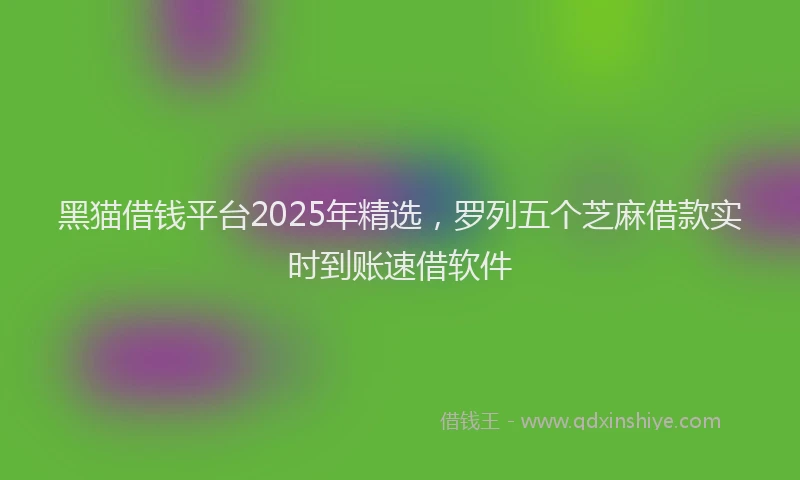 黑猫借钱平台2025年精选，罗列五个芝麻借款实时到账速借软件