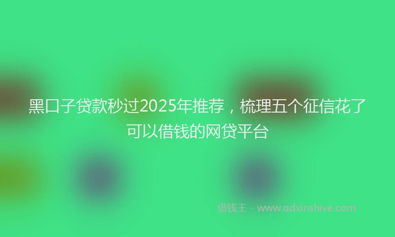 黑口子贷款秒过2025年推荐，梳理五个征信花了可以借钱的网贷平台