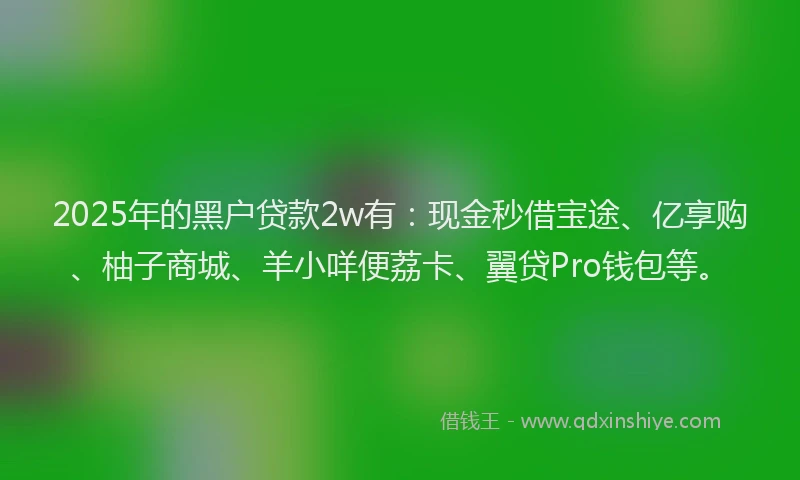 2025年的黑户贷款2w有：现金秒借宝途、亿享购、柚子商城、羊小咩便荔卡、翼贷Pro钱包等。