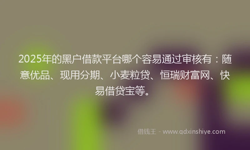 2025年的黑户借款平台哪个容易通过审核有：随意优品、现用分期、小麦粒贷、恒瑞财富网、快易借贷宝等。