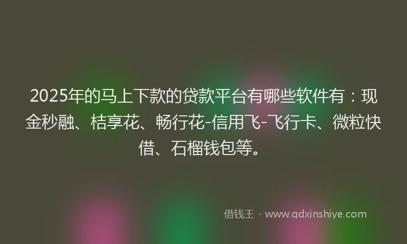 2025年的马上下款的贷款平台有哪些软件有：现金秒融、桔享花、畅行花-信用飞-飞行卡、微粒快借、石榴钱包等。